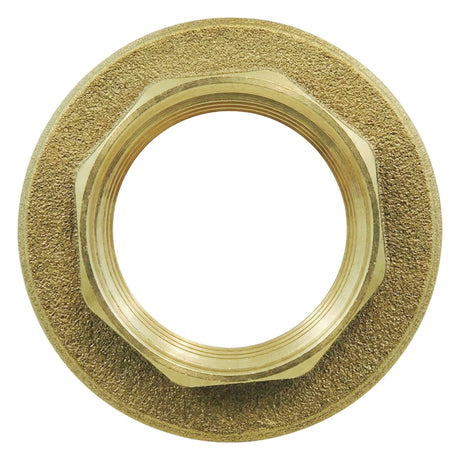 CW617N brass flange locknut BSP - top view