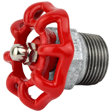Red 52 mm handwheel on half nipple, stainless steel nut, galvanized cast iron fitting