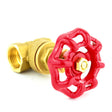red handwheel valve pn16